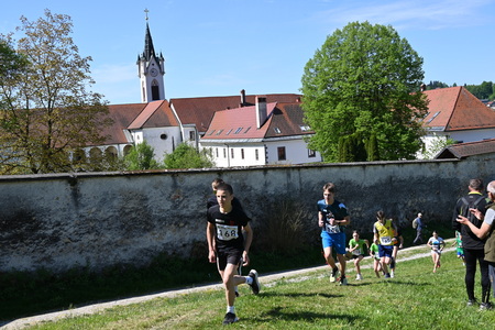 Uspešno izveden 36. Mekinjski kros  (15)